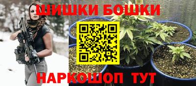 твердый Гусев
