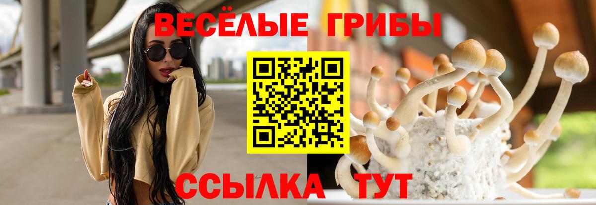 Галлюциногенные грибы мухоморы  Вход с VPN  Псилоцибиновые грибы Cubensis  Надым 